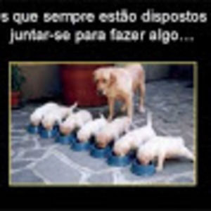 Meet your Posher, Beatriz